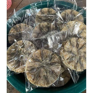 (พร้อมส่ง) ปลาแห้ง ปลาวง ( 9 วง ) ปลาแห้ง ปลาสร้อขาวหมักปรุงรสนัวร์ๆ ทอดกรอบทานได้ทั้งวง ปลาใหม่ไม่มีค้างสต๊อก