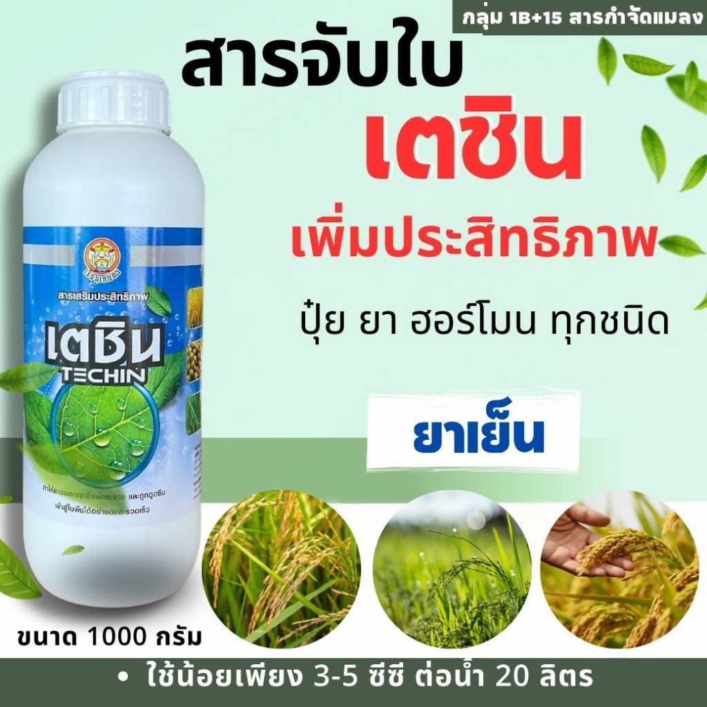 🍀เตชิน ยาจับใบชนิดเข้มข้น🍀 สารเสริมประสิทธิภาพ แบบเดียวกับ แอ็ปซ่า-80 หรือ A-FORCH เอฟอช ขนาด 1 ลิตร แตกดีกว่า