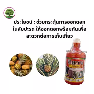 อีธาน อีทีฟอน52 หวีทอง สารควบคุมการเจริญเติบโตของพืช เร่งสุก เร่งดอกสับปะรด ขวด 1ลิตร / ขวด