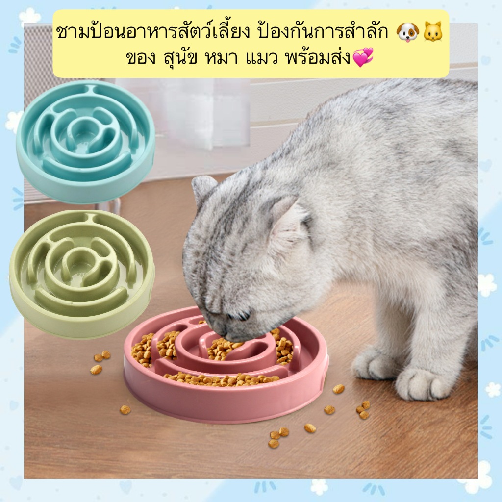 PP-426 ชามอาหารสัตว์เลี้ยง ป้องกันการสำลัก