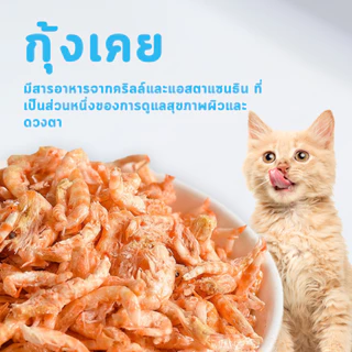 MR.Vet อาหารแมว T4 1กก. 6fish with Freeze Dried อาหารแมวแห้ง รโฮลิสติก สำหรับแมวในร่ม ดูแลแบบ Low Sensitivity