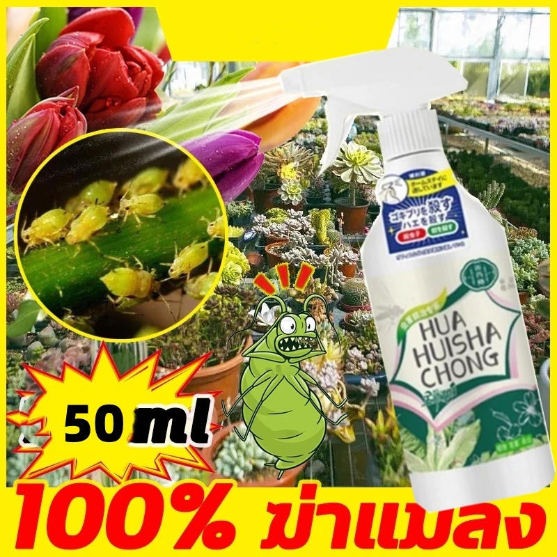 ยากำจัดแมลงพืช 500ml ยาฆ่าแมลง ยากำจัดหนอน สารกำจัดแมลง