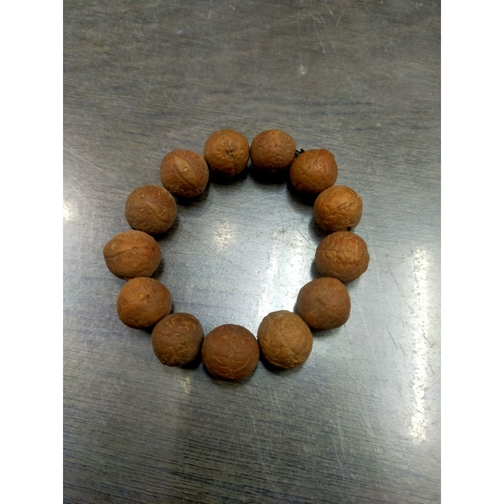 สร้อยข้อมือเม็ดโพธิ์ตาฟีนิกซ์ (Phoenix Eye Bodhi Seed Hand Bracelet)