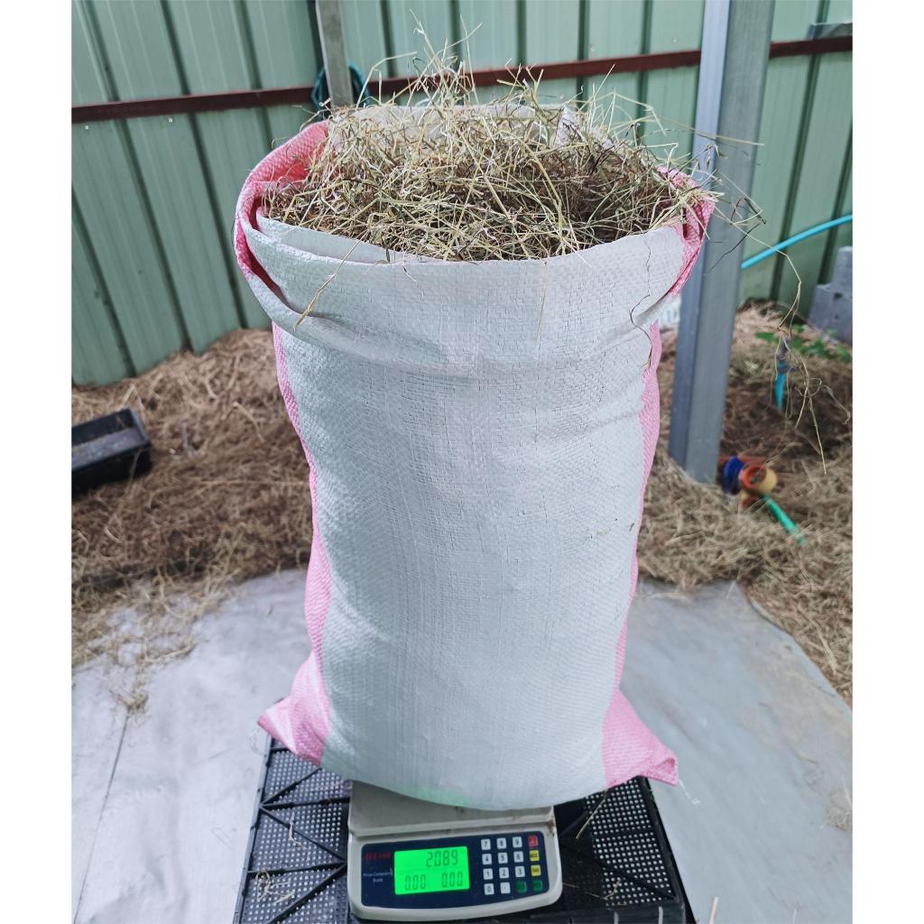 หญ้าแพงโกล่า ร่อนฝุ่น 2กิโลกรัม เกรดA หญ้ากระต่าย