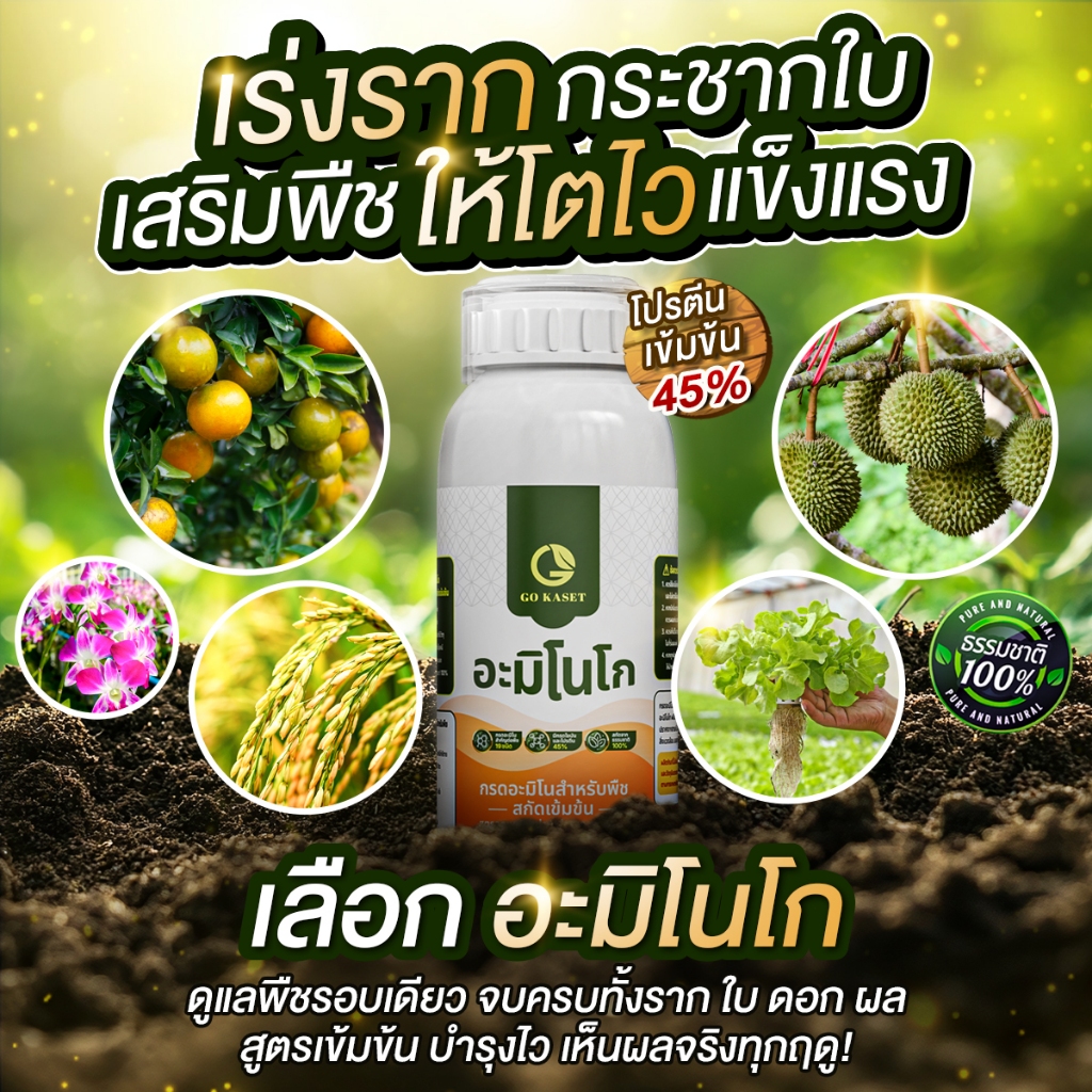 [3ขวด] อะมิโนโก(ขวดเล็ก) 500 ML - AMINO GO กรดอะมิโนสำคัญต่อพืช19ชนิด สูตรออร์แกนิค ธรรมชาติ100% - รูปที่ 5