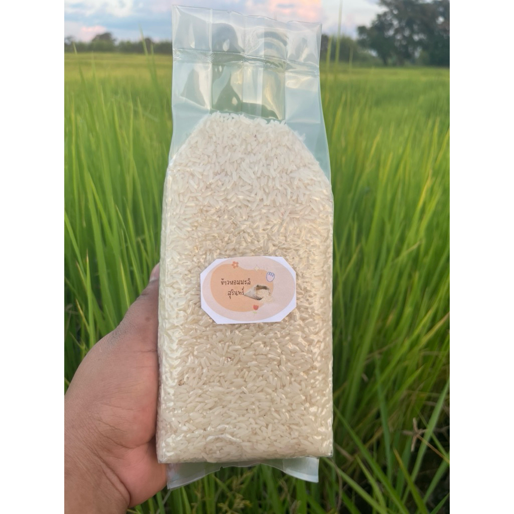 2 กิโลกรัม ข้าวหอมมะลิใหม่105สุรินทร์ข้าวปลอดสารเคมีไม่ใส่สารกันมอดแพ็คสูญญากาศสีตามออร์เดอร์ส่งตรงจากต้นทาง