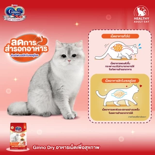 Ginno Special Set กินโนะ เซตอาหารแมวสุดพิเศษ อาหารเม็ด อาหารเปียก และขนมแมวเลีย ครบเซตสุดคุ้ม