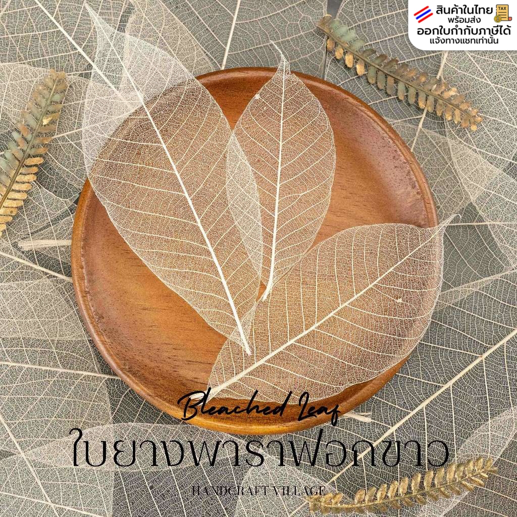 ใบยางพาราฟอกขาว สีธรรมชาติ ขนาด 2-7" แพ็ค100ใบ สำหรับทำงานประดิษฐ์ DIY ตกแต่งชิ้นงาน การ์ด ของขวัญ พร็อพถ่ายรูป ใบไม้
