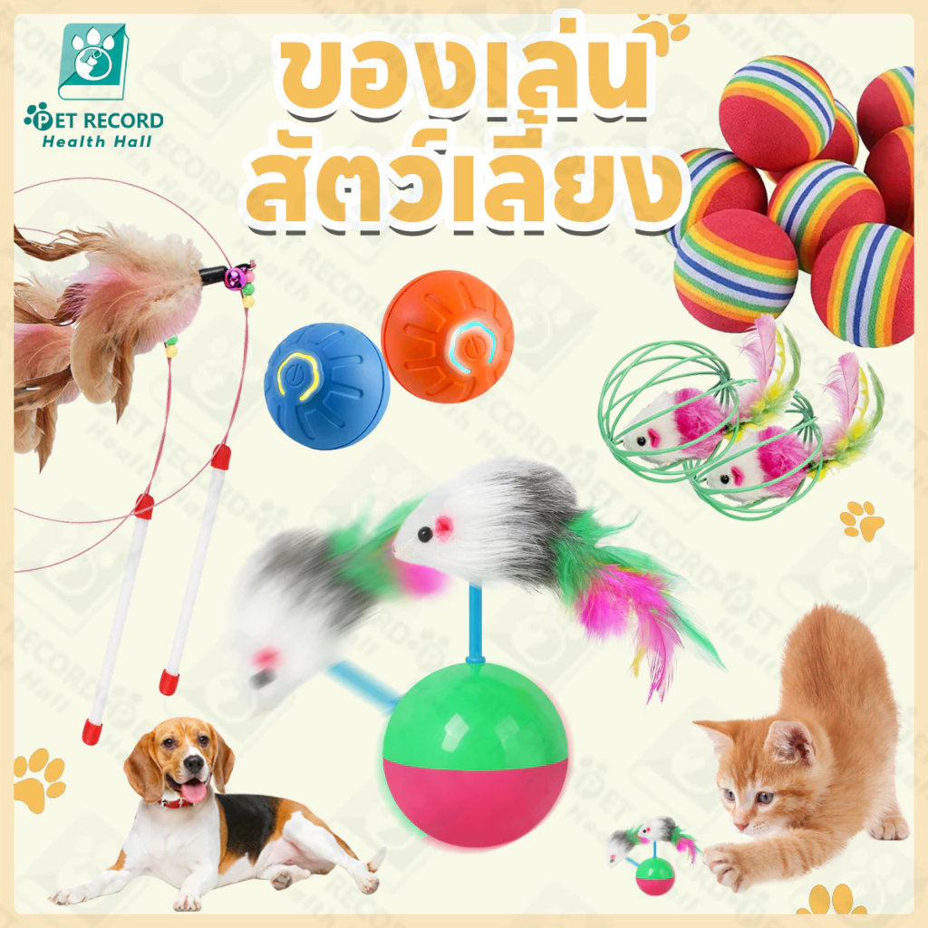 Pet Record ลูกบอลล้มลุก ของเล่นแมว กระตุ้นสัญชาตญาณล่าเหยื่อ