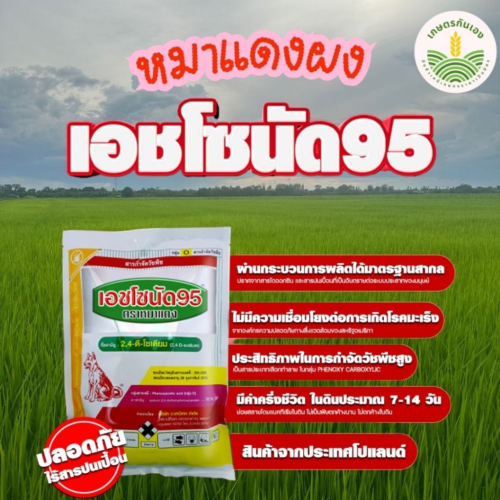 หมาแดงผง ขนาด 1กก เอชโซนัด95