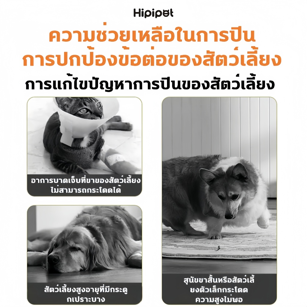 🐶บันไดหมา😺บันไดสัตว์เลี้ยง บันไดโซฟาข้างเตียง รุ่นแบบนุ่ม บันไดสุนัข หมา แมว เพื่อให้ขึ้นเตียงได้ง่าย ถอดซักได้ - รูปที่ 2