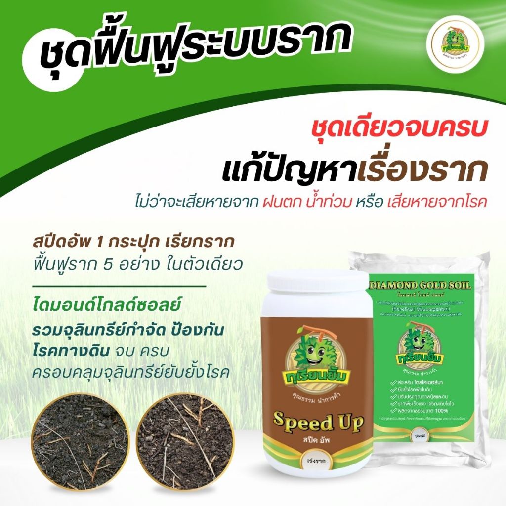 ชุดฟื้นฟูระบบราก ชุดเดียวจบครบ แก้ปัญหาเรื่องราก