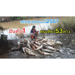 หัวเชื้อตกปลาสวายดับ รับประกันของแท้ หมายธรรมชาติ บ่อแข่ง ( 1 ขวด)