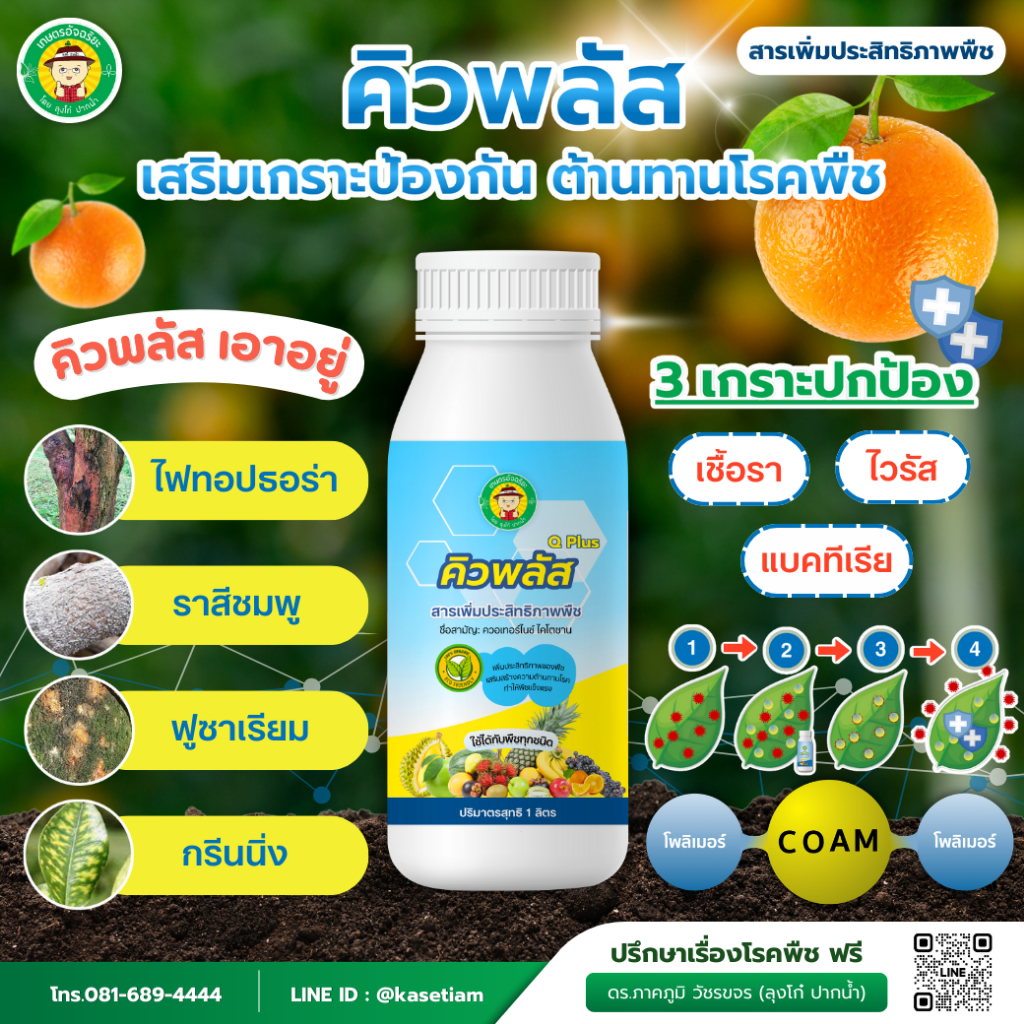 คิวพลัส เสริมเกราะป้องกัน ต้านทานโรคพืช สารเพิ่มประสิทธิภาพพืช สำหรับเกษตรกรยุคใหม่ (Q-Plus)
