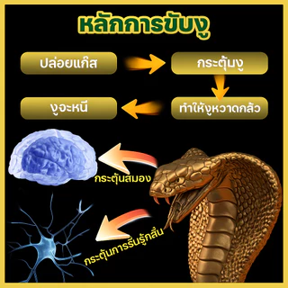 🐍ยาไล่งู ก้อนไล่งู กันงู 12 เม็ด สูตรเข้มข้น ใช้ในบ้าน สวน ฟาร์ม คุ้มครองยาวนาน