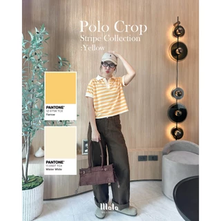 MalaOriginal |【7 สี】Polo Crop Stripe🍡 เสื้อโปโลลายทาง ทรงครอป ไม่ต้องรีด ลายทาง