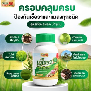 A Grow เอโกรว อาหารเสริมสกัดจากธรรมชาติ ปุ๋ยชีวภาพ ไคโตซาน ปุ๋ยเออนันต์ ขนาด 250 ซีซี