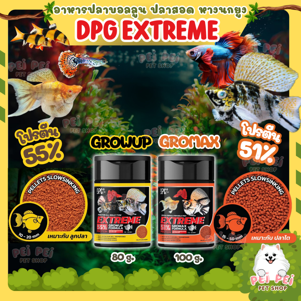 🔥ใหม่🐟DPG อาหารปลาบอลลูน สำหรับปลาบอลลูน ปลาเล็ก ลูกปลา ปลาปากเล็ก เร่งโต เร่งสี โปรตีนสูง