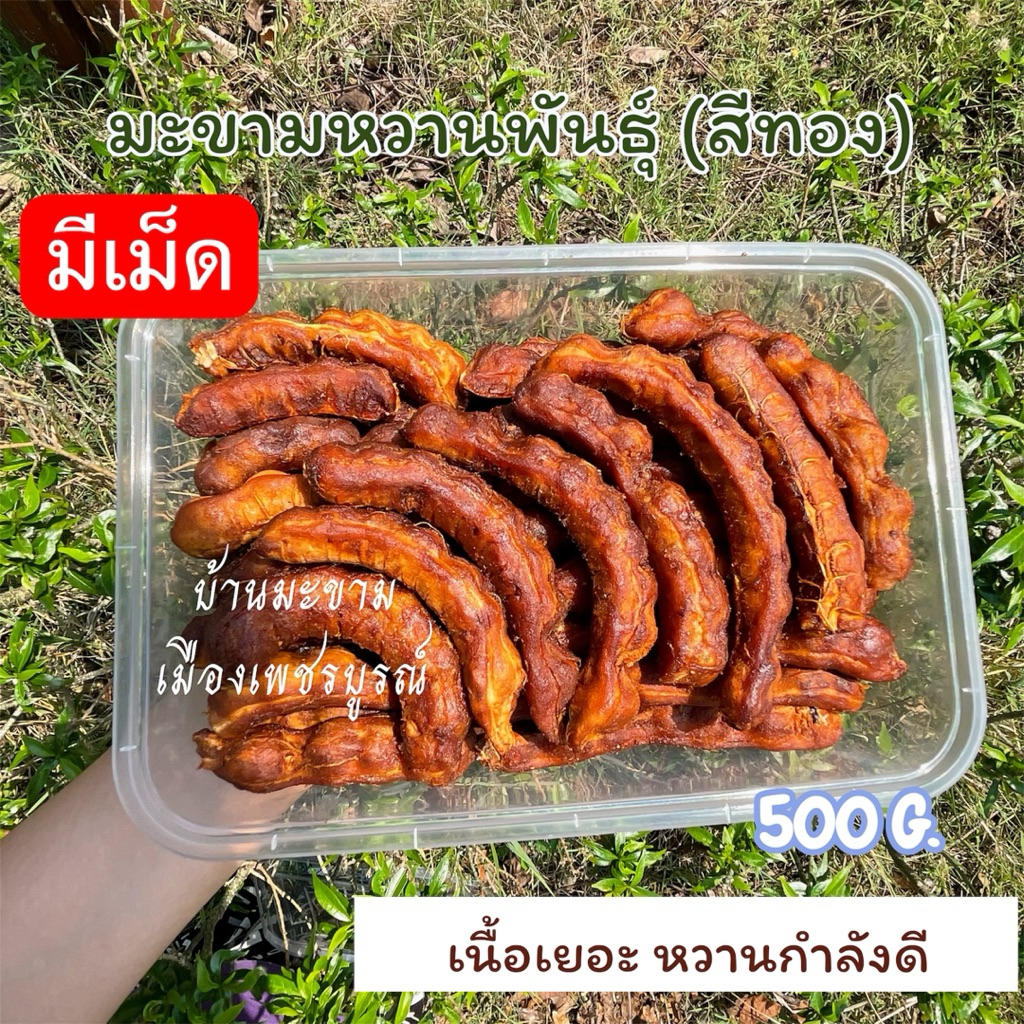 มะขามหวานพันธุ์สีทองรสชาติหวานฉ่ำ ขนาด 500 กรัม (บรรจุถุงซิป)