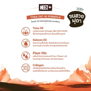 Neez+ นีซพลัส อาหารแมว โฮลิสติก เกรนฟรี สูตร Focus High Protein และ Skin&Coat Focus ขนาด 1 KG