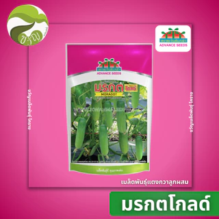 เมล็ดพันธุ์แตงกวา แตงกวา มรกตโกลด์ ตราตะวันต้นกล้า ลอตใหม่ล่าสุด