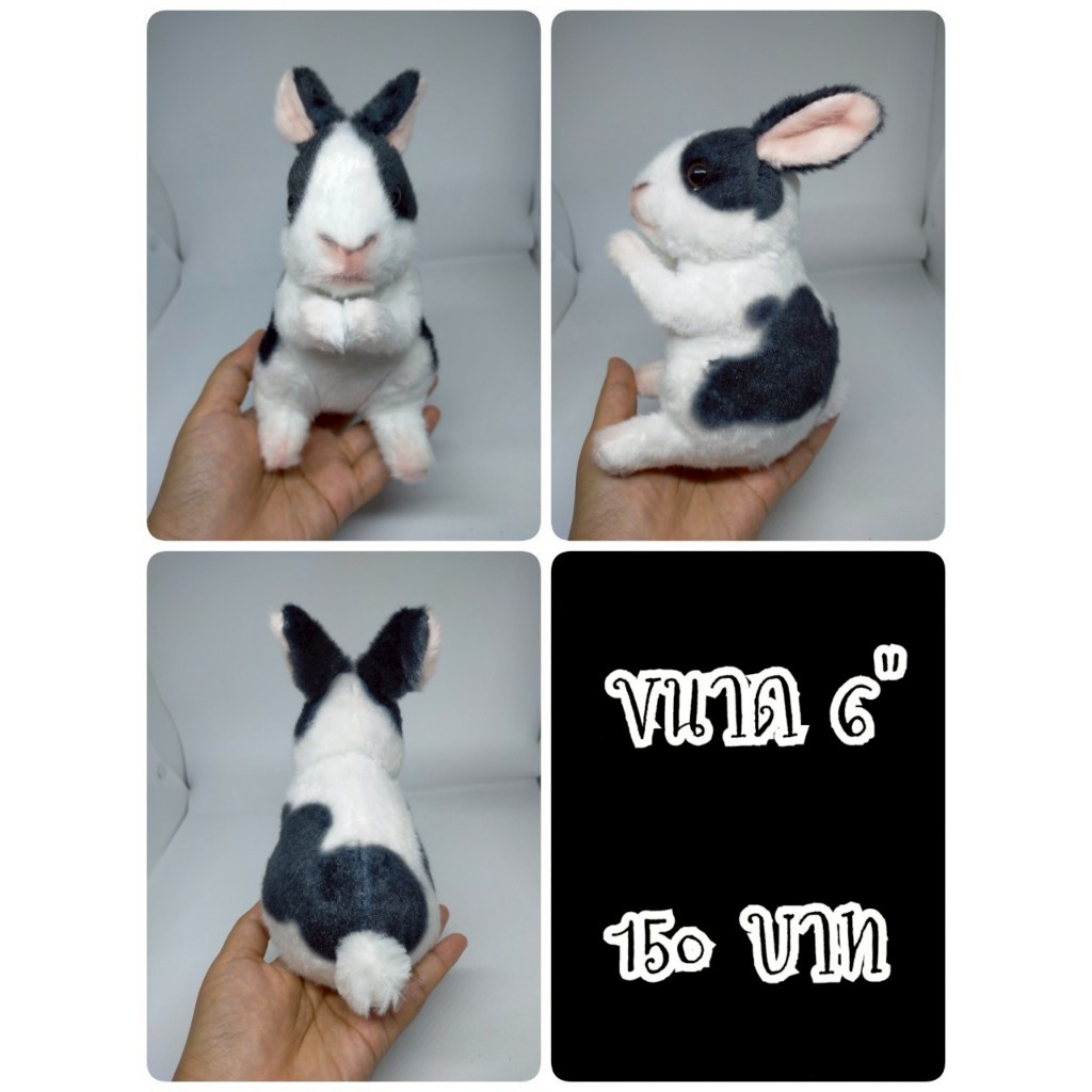 Rabbit#Real Rabbit#Realistic Rabbit#กระต่าย#ป้ายตัด#ตุ๊กตาญี่ปุ่นมือสอง