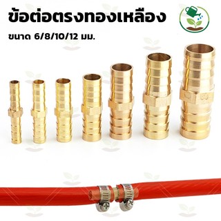 (แพ็ค 2 ตัว)ข้อต่อตรงหางปลาไหลทองเหลือง ข้อต่อท่อทองเหลือง ข้อต่อตรงทองเหลือง ขนาด 6mm,8mm,10mm,12mm