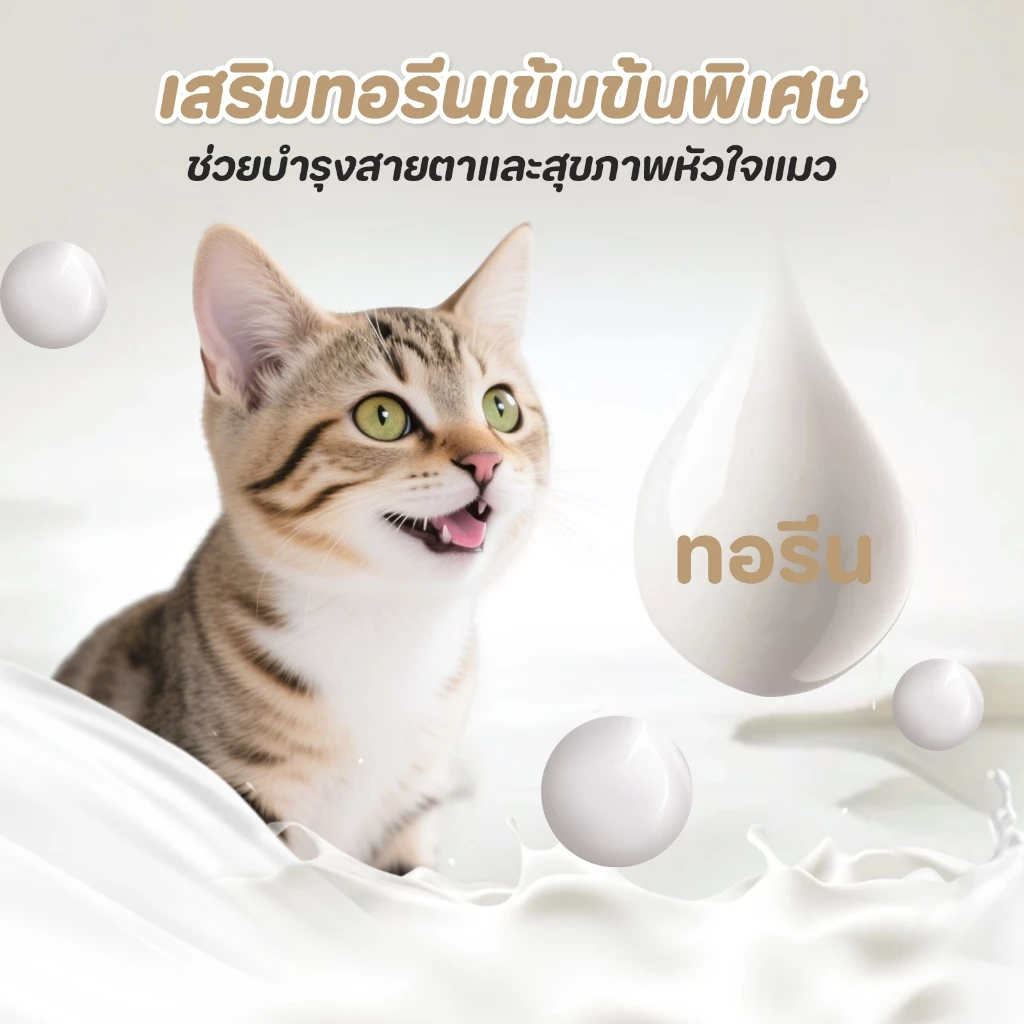 PETStar1🥇1 THB แมวจัง🥇 ขนมแมว เนื้อทูน่าแท้🇹🇭 วิตามินเอบำรุงสายตา🐟 ปราศจากสารกันบูด ดีต่อสุขภาพน้องแมวทุกวัย thumbnail 6