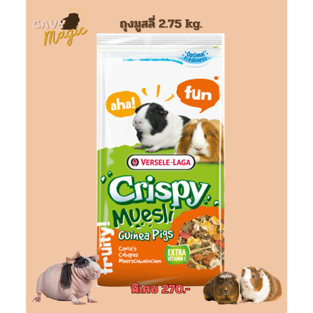 Crispy Muesli Guinea Pigs อาหารแก๊สบี้รสชาติแสนอร่อย อุดมด้วยไฟเบอร์สูง สูตรมูสลี่กรุบกรอบ