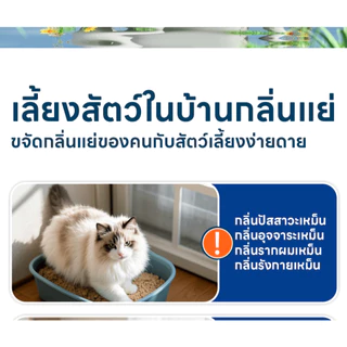 Ketzuzu สเปรย์ดับกลิ่นฉี่แมว รุ่นปรับปรุง สเปรย์ดับกลิ่นสัตว์เลี้ยง ดับกลิ่นทรายแมว