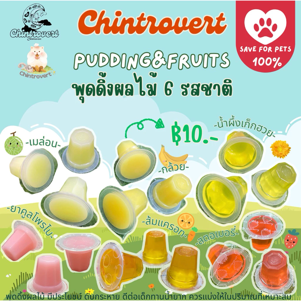 Chintrovert ✨| Jelly for rodent เยลลี่พุดดิ้ง 6 รสชาติ | กระต่าย แฮมเตอร์ แฟตเทล ดอร์เมาท์ ดัมโบ ชูการ์