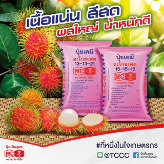 (แบ่งขาย)ปุ๋ย15-15-15 ตราหัววัวคันไถ ปุ๋ยบำรุง ราก ปุ๋ยเร่งต้น ใบ ดอก ผล ใส่ผัก ผลไม้ ไม้ดอกไม้ประดับ