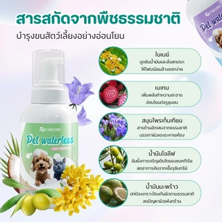 【PET RECORD】🔥 โฟมอาบน้ำแห้งสัตว์เลี้ยง ไม่ต้องใช้น้ำ หอม 48ชม สำหรับแมวสุนัข