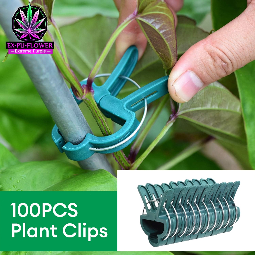 Plant Clips ที่หนีบต้นไม้ 100 ชิ้น ที่หนีบสวน ที่หนีบเถาวัลย์ สายพันธุ์ไม้เลื้อย ดอกไม้ ที่หนีบมะเขือเทศ ใช้ซ้ำได้