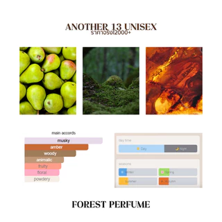 น้ำหอม FOREST- Inspired by Another 13 Unisex - ขนาด 50ML