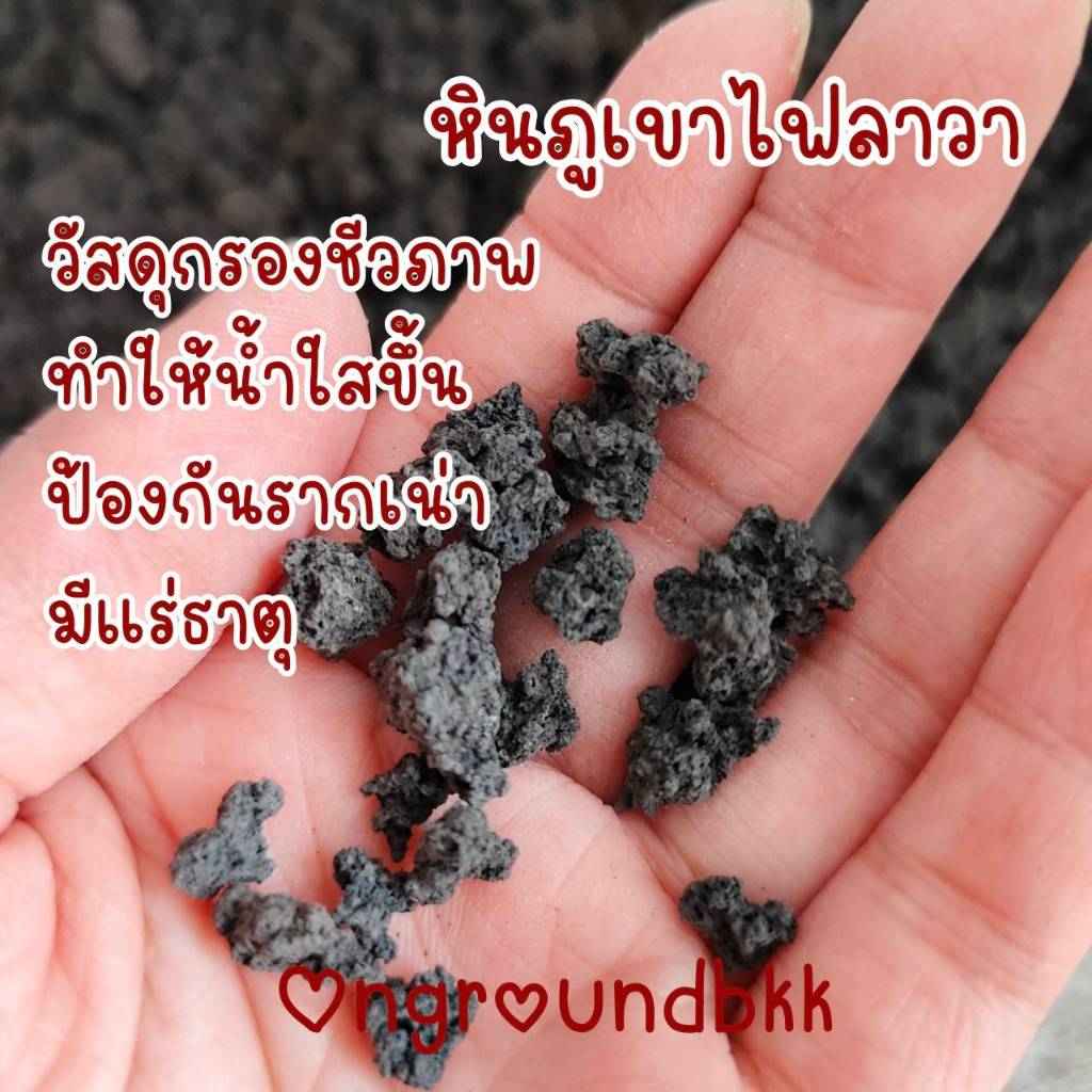 พร้อมส่ง หินภูเขาไฟลาวา หินลาวา หินมีรูพรุน มีแร่ธาตุ มีประโยบน์กับต้นไม้ วัสดุกรองธรรมชาติ หินใส่ตู้ปลา หินตกแต่งตู้ปลา