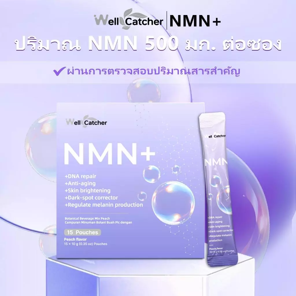 Wellcatcher NMNREV500 ผลิตภัณฑ์เสริมอาหาร