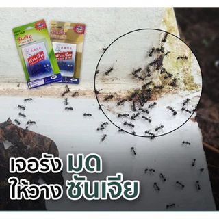 ซันเจี่ย เหยื่อกำจัดมด 5 กรัม (แบบ 1 แผง หรือ 2 แผง) ขายยกลัง 5 โหล