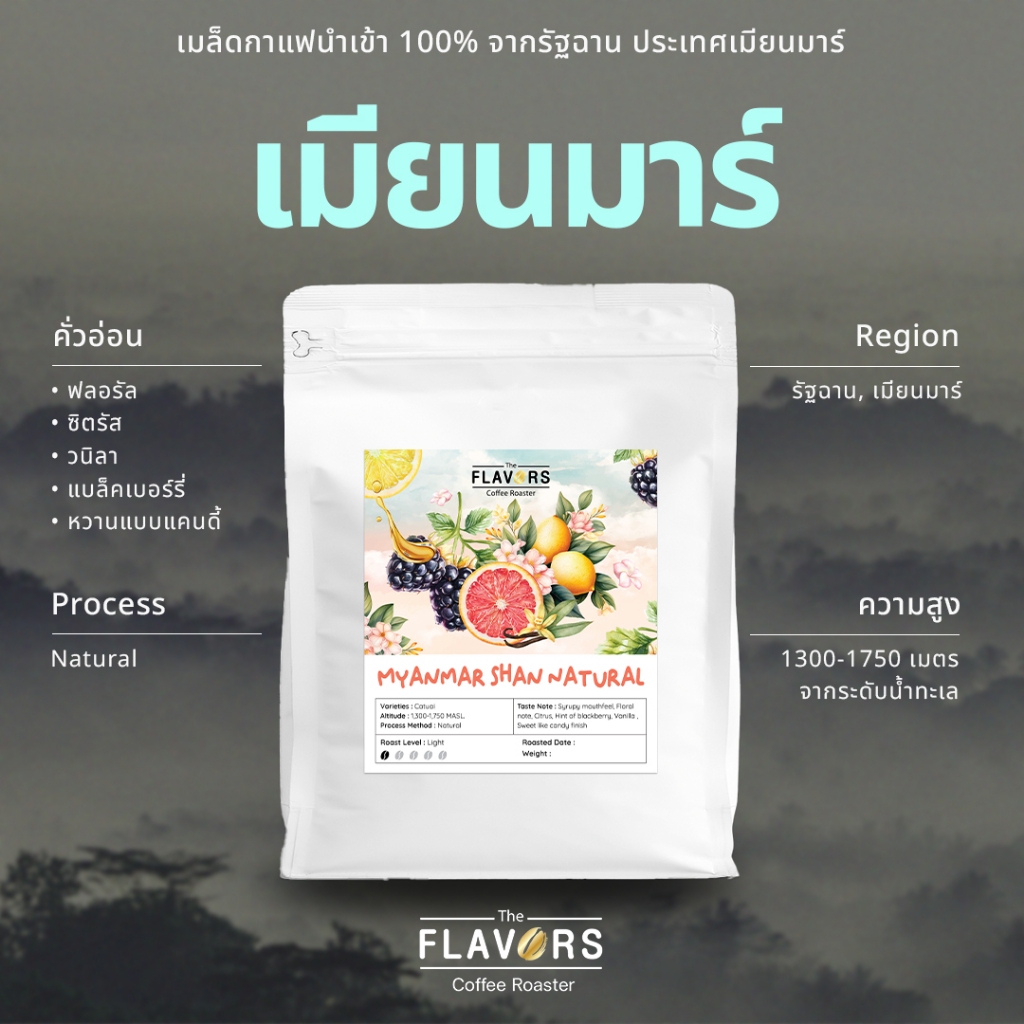 เมล็ดกาแฟ 'รัฐฉาน-เมียนมาร์' คั่วอ่อน 100-500 ก. นำเข้า 100% ส้ม ซิตรัส ฟรุ๊ตตี้