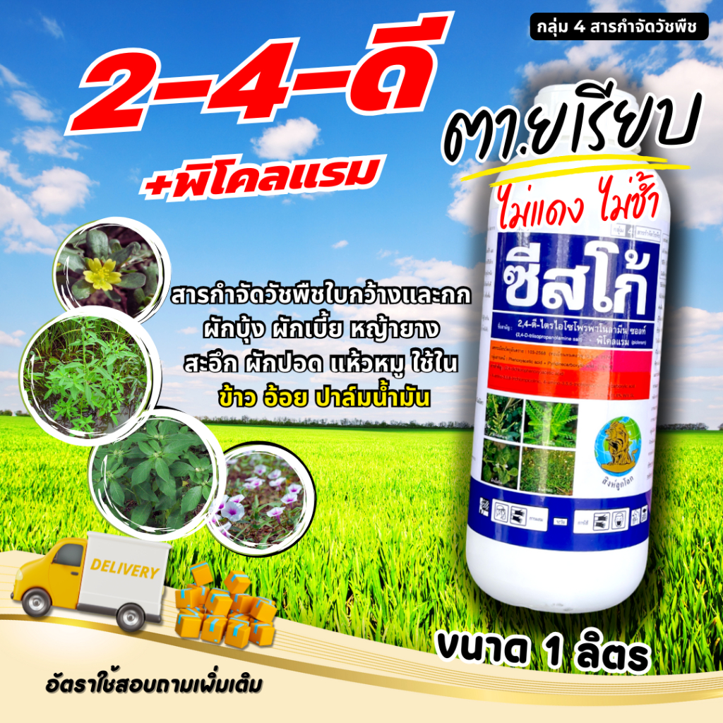 ซีสโก้ ขนาด 1000 cc สารกำจัดวัชพืชใบกว้าง เช่น โสน กกต่างๆ เซ่งใบมน ผักเบี้ยหิน ผักปอด ผักโขม โดยฉพาะหนวดปลาดุกที่ดื้อยา