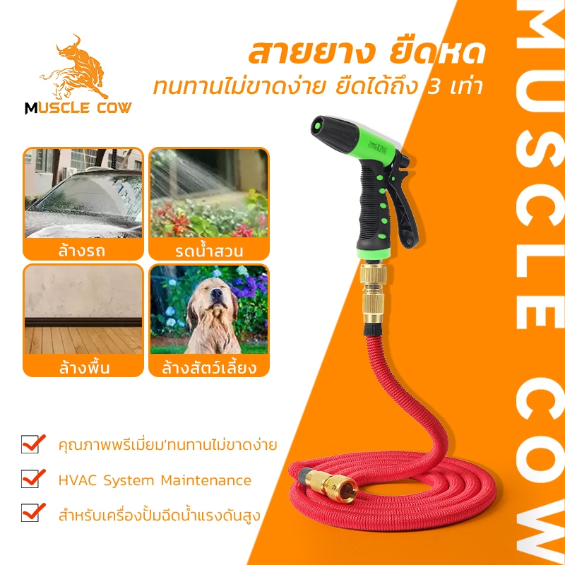 MUSCLE COW สายยางยืดหด ทนทาน ยืด 3 เท่า พร้อมหัวฉีด ใช้ล้างรถ รดน้ำสวน ล้างพื้น ล้างสัตว์