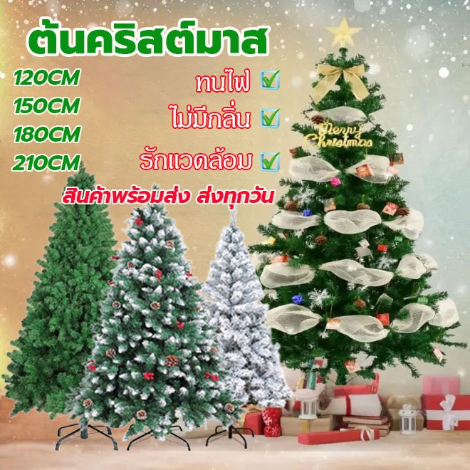 ต้นคริสต์มาส ขนาดใหญ่ 120/150/180/210 ซม. พร้อมส่ง 3 แบบ ตกแต่งวันคริสต์มาส