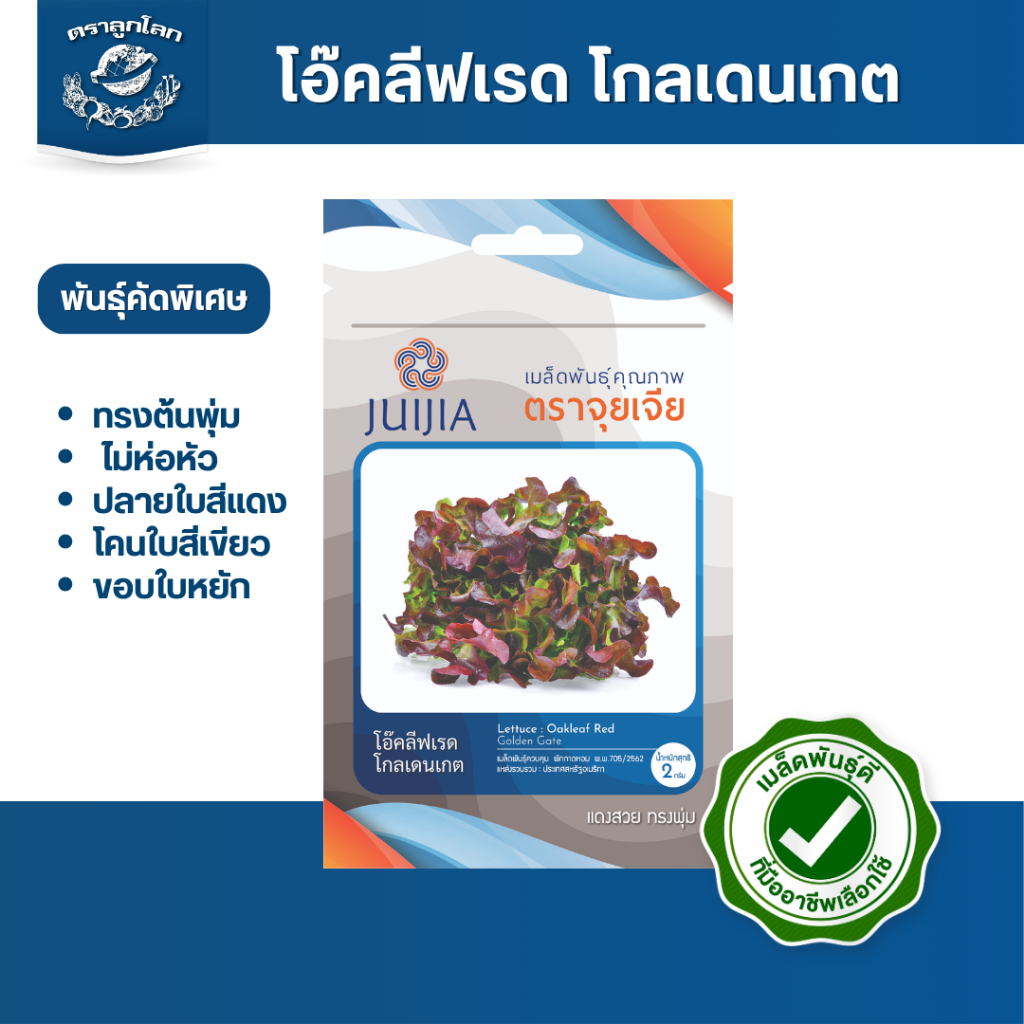 ตราลูกโลก เมล็ดผักกาดหอม เรดโอ๊ค Lettuce เมล็ดพันธุ์ผัก ผักสวนครัว ผักซอง ลูกโลก