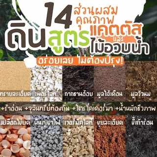 🔥ปรุงสดใหม่🔥ดินแคตตัส ดินกระบองเพชร สูตรพรีเมี่ยม! จุแน่นเต็มถุง! (Premium Organic Cactus Soil)