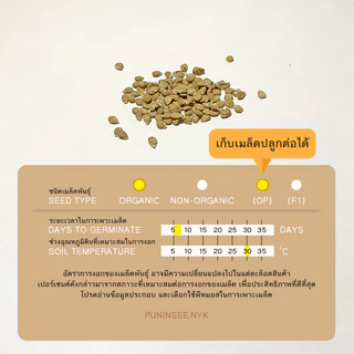 เมล็ดนำเข้า มะเขือเทศเชอรี่ สีดำ Black Cherry Tomato (Organic Seed) ลูกกลม ปันอินทรีย์