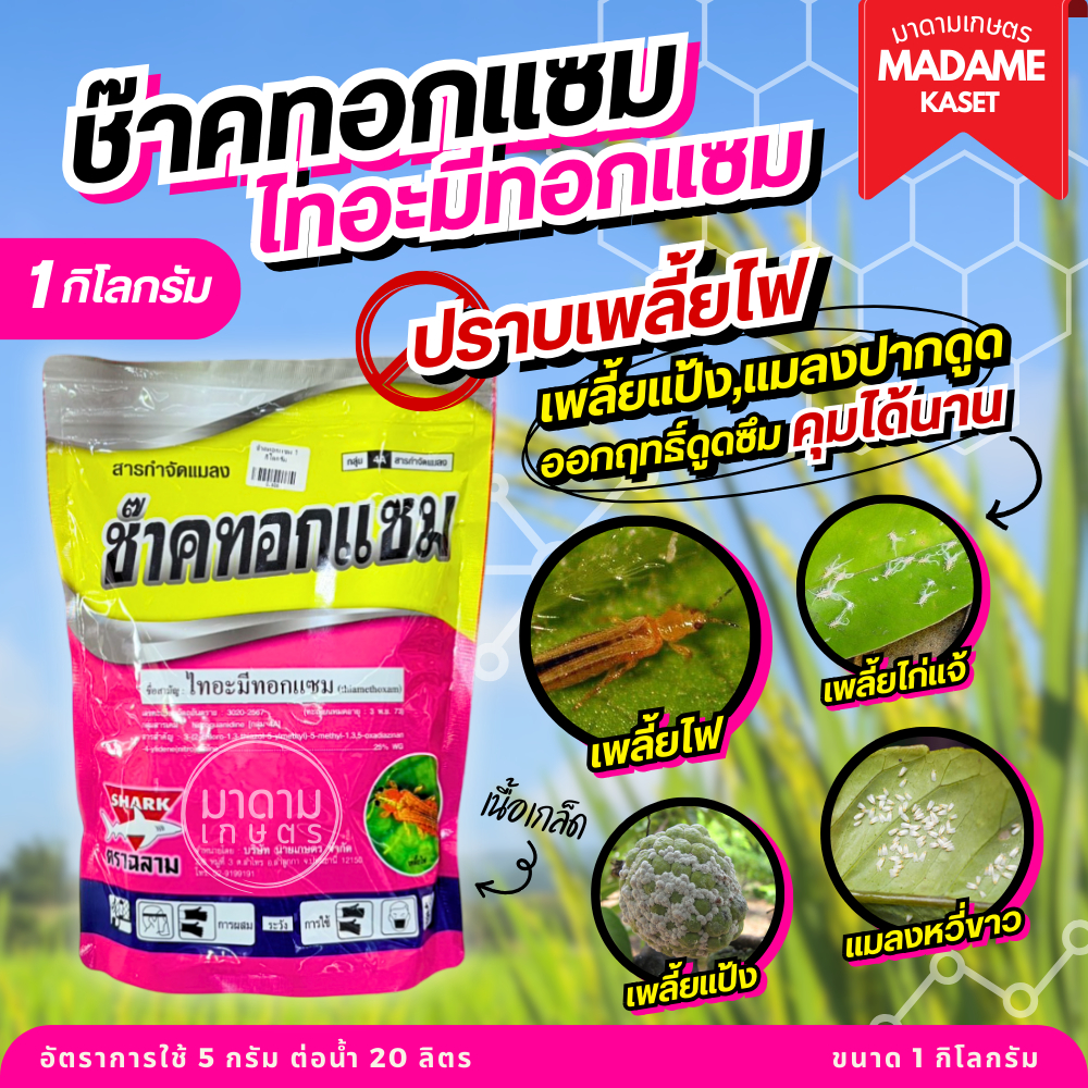 ใหม่! ช๊าคทอกแซม (ไทอะมีทอกแซม 25%) ตัวเดียวกับแอคทารา ป้องกันและกำจัดเพลี้ยไฟ เพลี้ยแป้ง แมลงปากดูด แมลงหวี่ขาว ยาเย็น