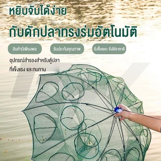 FW ตาข่ายดักปลา ตาข่ายดักกุ้ง มุ้งดักปลา 4/6/8/10ช่อง ที่ดักกุ้ง ที่ดักปลา กระชังปลา รูด้านล่าง ดักจับกุ้งปลาพับเก็บได้