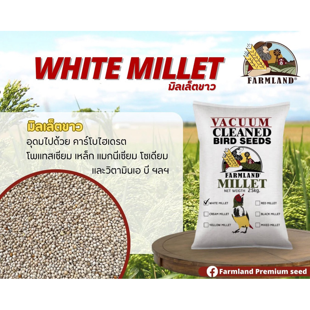 Farmland White Millet 25kg มิลเล็ตขาวUSA