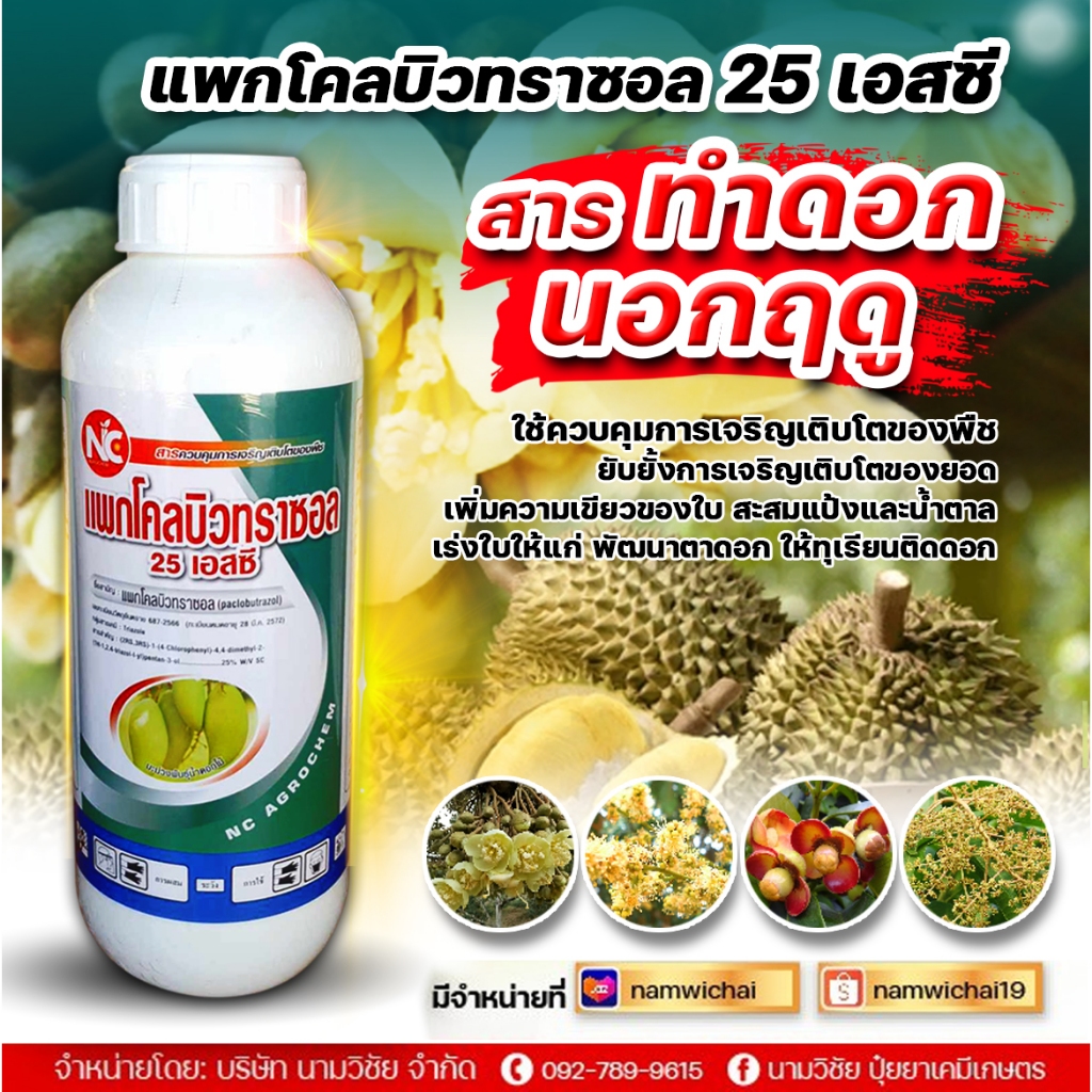 แพคโคลบิวทราซอล25เอสซี(แพคโคลบิวทราซอล 25% W/V SC) ขนาด 1 ลิตร ยับยั้งการเจริญเติบโตของยอด ยับยั้งการสร้างใบอ่อน ลดการยื