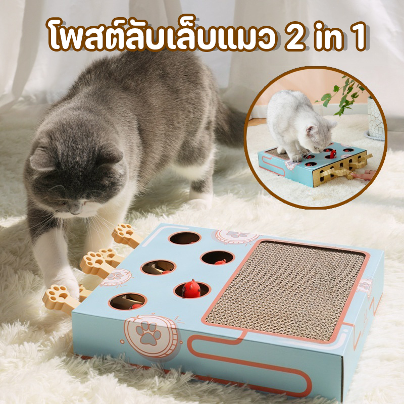 พร้อมส่ง ของเล่นแมวตลก โพสต์ลับเล็บแมว 2 in 1 กล่องแมวงง ที่ฝนเล็บแมว กล่องแมวตบ รุ่น2in1 ของเล่นแมว